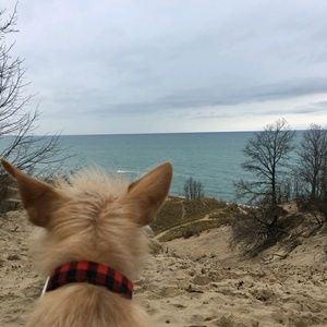 Meet your Posher, Marcella